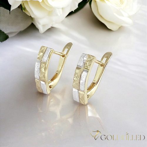 Gold-Filled Antiallergenic Earring 18 mm 18K Color
