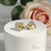 Gold-Filled Antiallergenic Earring 11 mm 14K Color